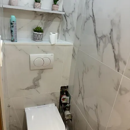 Cosy 尼斯